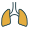 swifticons:coloured:lungs.png