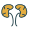 swifticons:coloured:kidneys.png