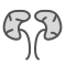 swifticons:filled:kidneys.png