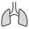 swifticons:filled:lungs.png